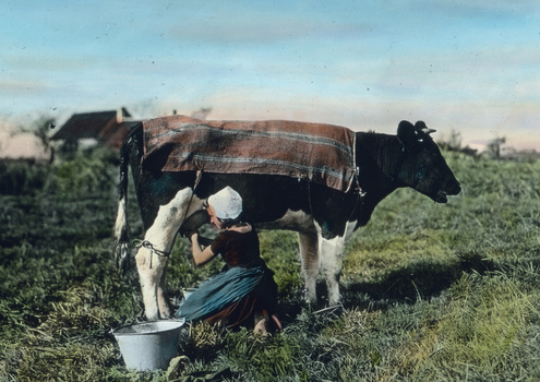 UIG F 030433