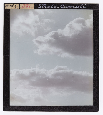 RGD S 000038 RGD S 000038