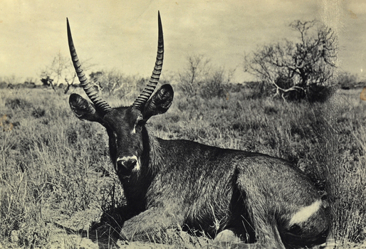 FCC A 000067 FCC A 000067