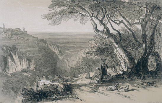 PDP A 00LEAR PDP A 00LEAR