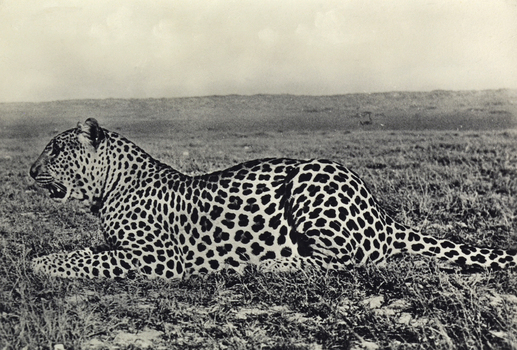 FCC A 000067 FCC A 000067