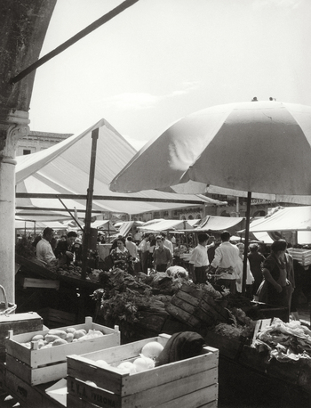 CGD F 000391 CGD F 000391