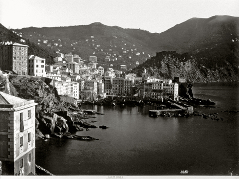 FBQ F 000361 FBQ F 000361