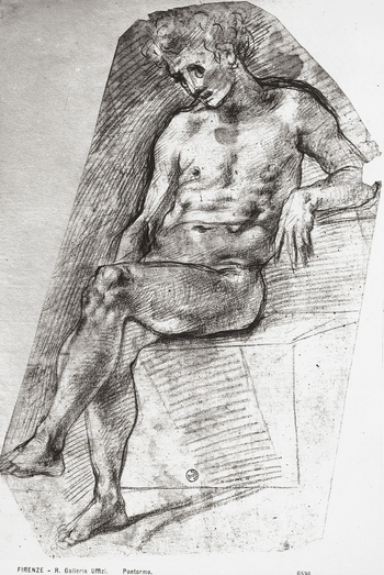 MAA F 006538