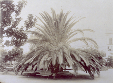 PDC S 003691 PDC S 003691