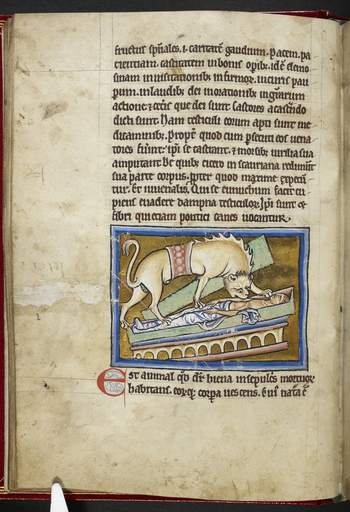 BLB S 2CXIXF BLB S 2CXIXF