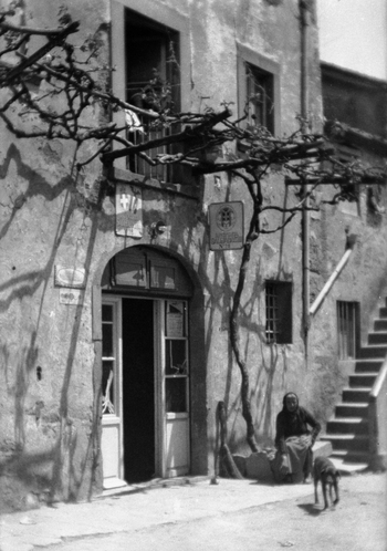 BVA S 000353 BVA S 000353