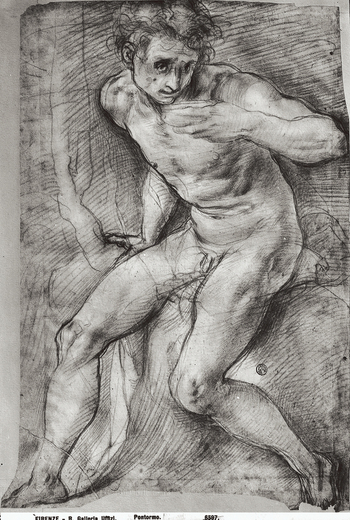 MAA F 006597