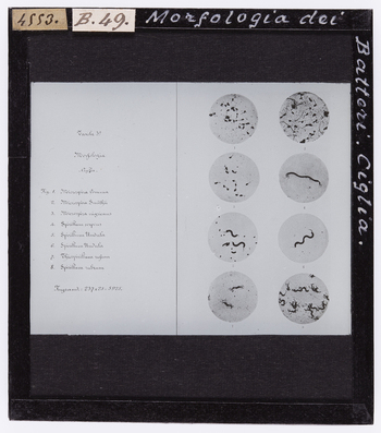 RGD S 000B49 RGD S 000B49