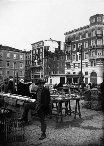 WWA F 006773 WWA F 006773