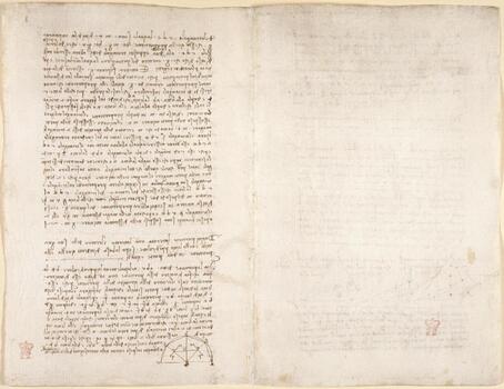 BLB F 018793