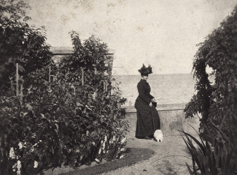 AVQ A 001839 AVQ A 001839