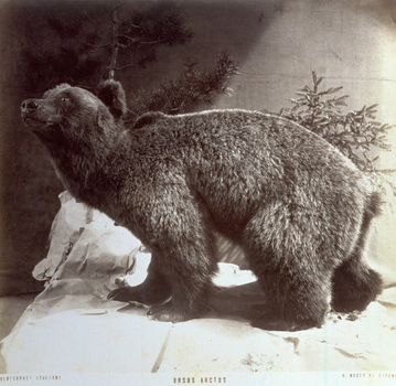 MFC A 004643 MFC A 004643