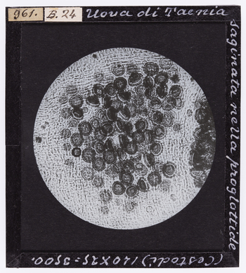 RGD S 000B24 RGD S 000B24