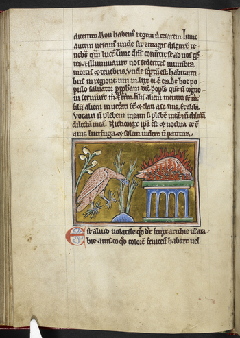 BLB S 2CXIXF BLB S 2CXIXF