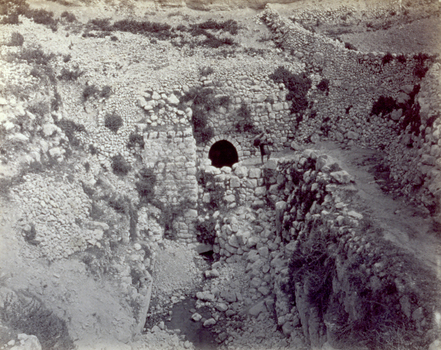 PDC S 001185 PDC S 001185