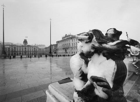 AVQ A 004985 AVQ A 004985