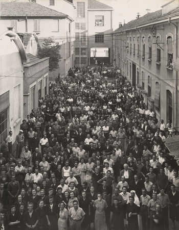 AVQ A 003614 AVQ A 003614