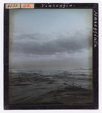 RGD S 000065 RGD S 000065