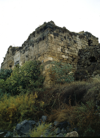 BEN F 012406
