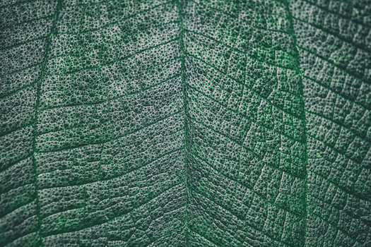 LCA F 005075