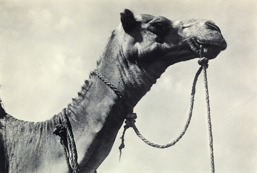 FCC A 000067 FCC A 000067