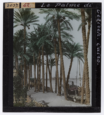 RGD S 000042 RGD S 000042