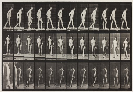 PDC A 004695 PDC A 004695