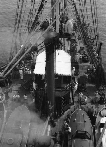 MFV S PAL100