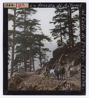 RGD S 000093 RGD S 000093