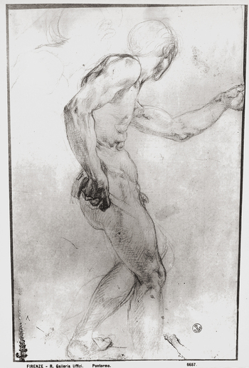 MAA F 006657