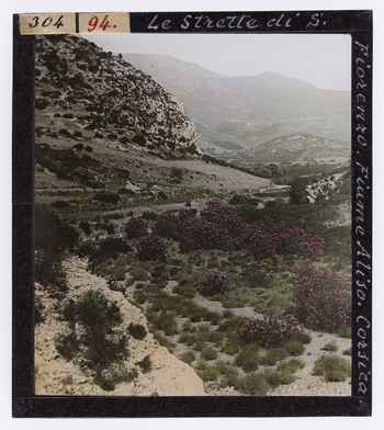 RGD S 000094 RGD S 000094