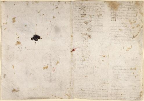 BLB F 018594