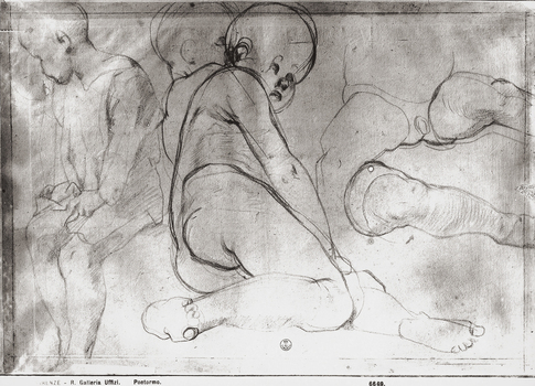 MAA F 006669