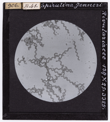 RGD S 000B41 RGD S 000B41