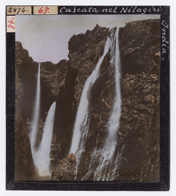 RGD S 000067 RGD S 000067