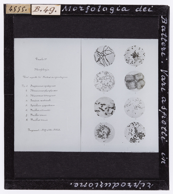 RGD S 000B49 RGD S 000B49