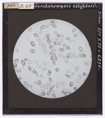 RGD S 000B48 RGD S 000B48