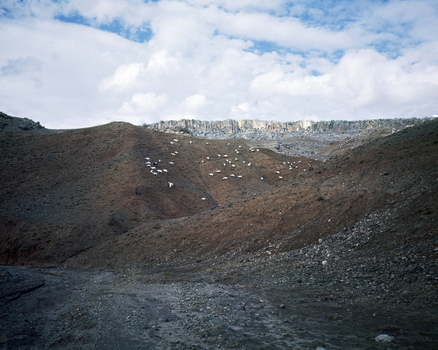 BEN F 008274