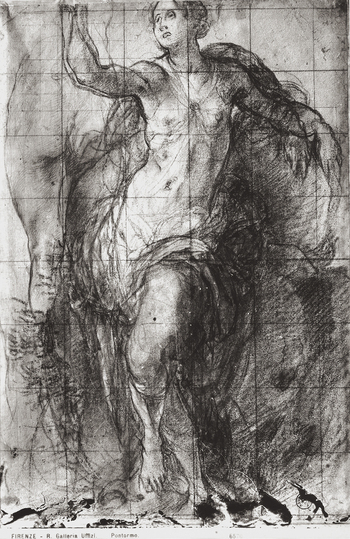 MAA F 006570