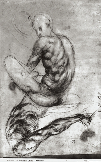 MAA F 006594