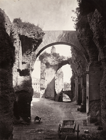 FVQ F 158684 FVQ F 158684