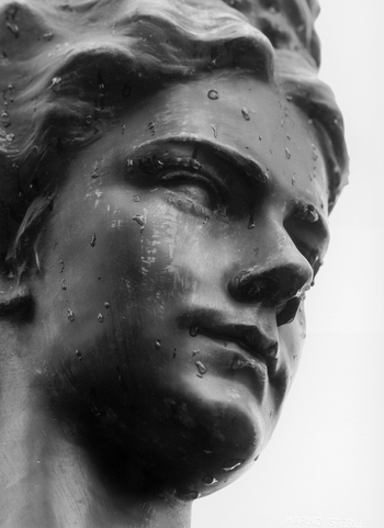 AVQ A 004985 AVQ A 004985