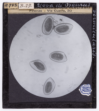 RGD S 000B27 RGD S 000B27