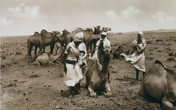 FCC A 000067 FCC A 000067