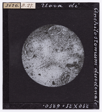 RGD S 000B27 RGD S 000B27