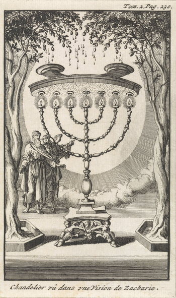 LCA F 000560