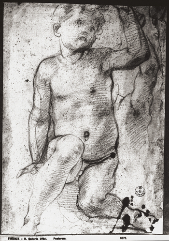 MAA F 006678