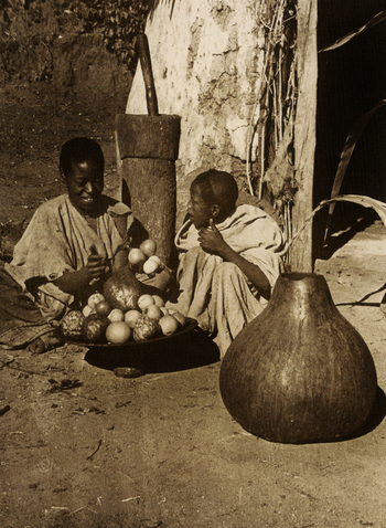 FVD F 010165 FVD F 010165