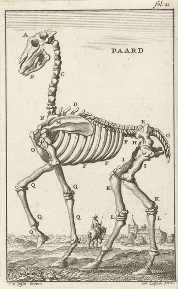 LCA F 000566